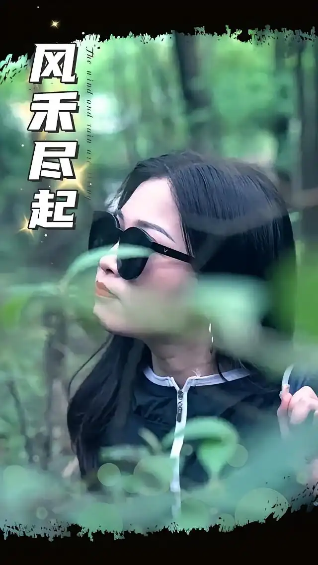 《风禾尽起（31集）》短剧全集免费在线看