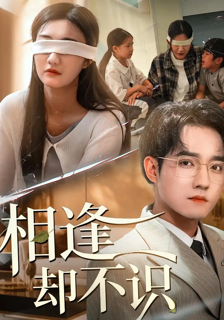 《相逢却不识（77集）刘静阳&程汁》短剧全集免费在线看