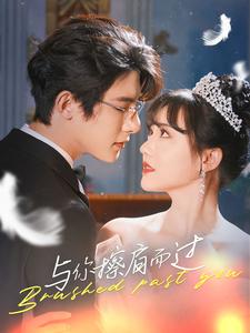 与你擦肩而过（80集）