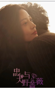 免费短剧：忠犬与野蔷薇（67集）