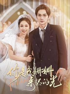 免费短剧：你是我姗姗来迟的光（99集）