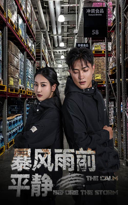 免费短剧:暴风雨前的平静(30集)