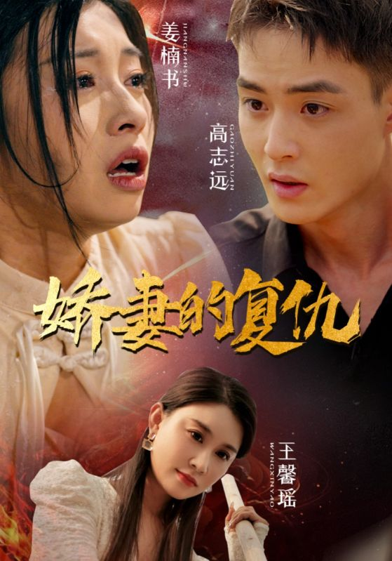 娇妻的复仇(30集)