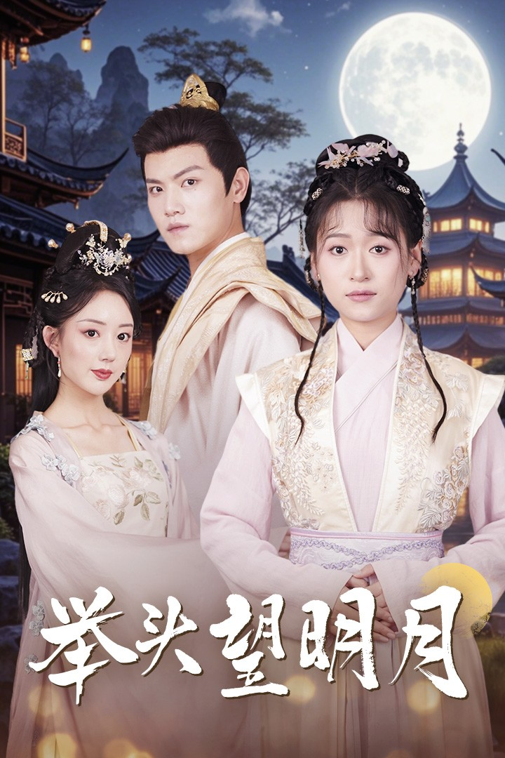 举头望明月（73集）王宇峰