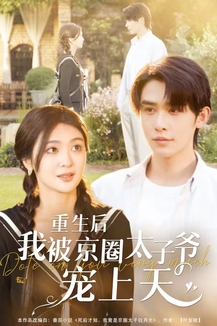 重生后我被京圈太子爷宠上天(78集)申浩男&钟熙