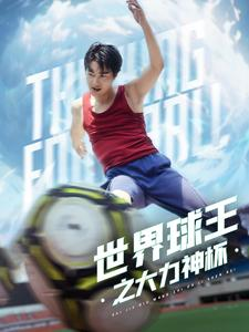 世界球王之大力神杯(35集)