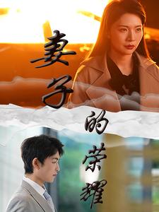 妻子的荣耀(40集)