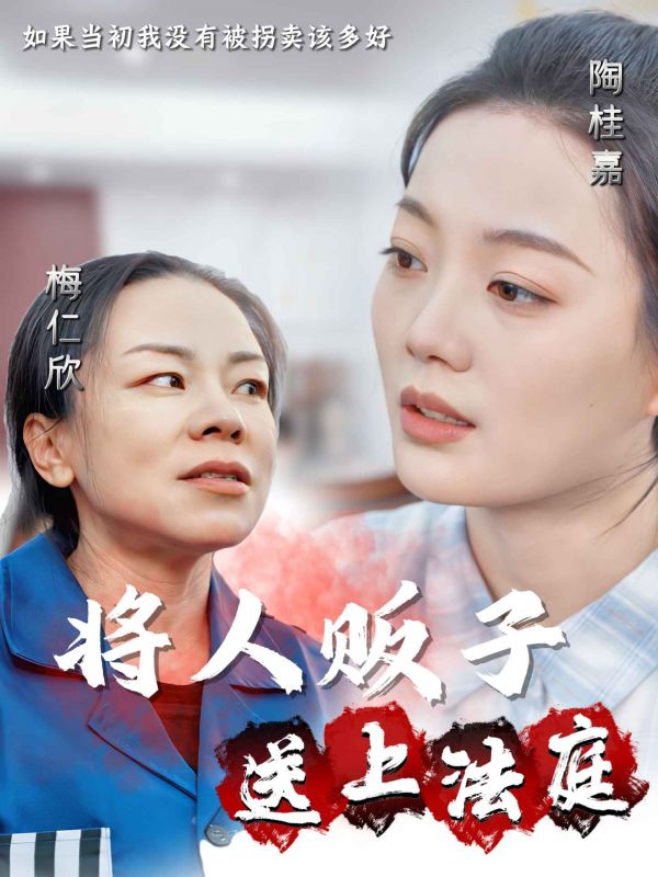 将人贩子送上法庭(30集)