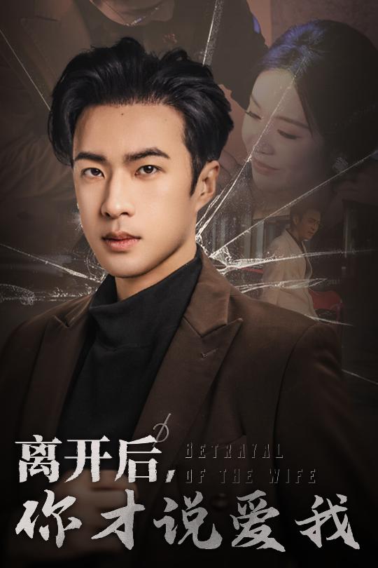 离开后你才说爱我&心如枯木难逢春（30集）孔奇力