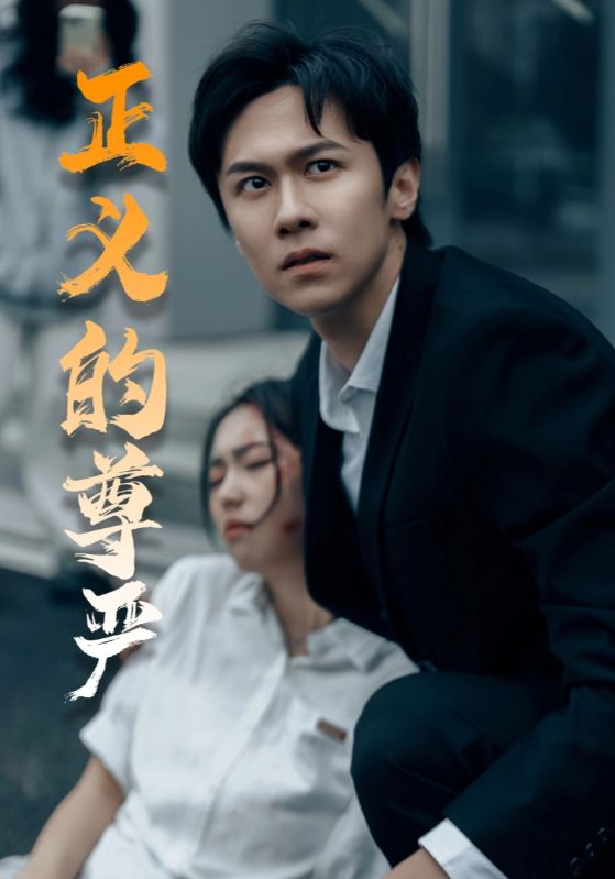 正义的尊严(35集)