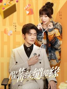 醒梦再续缱绻缘(100集)周航&陈诗敏