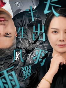 半生风雨长出羽翼(37集)