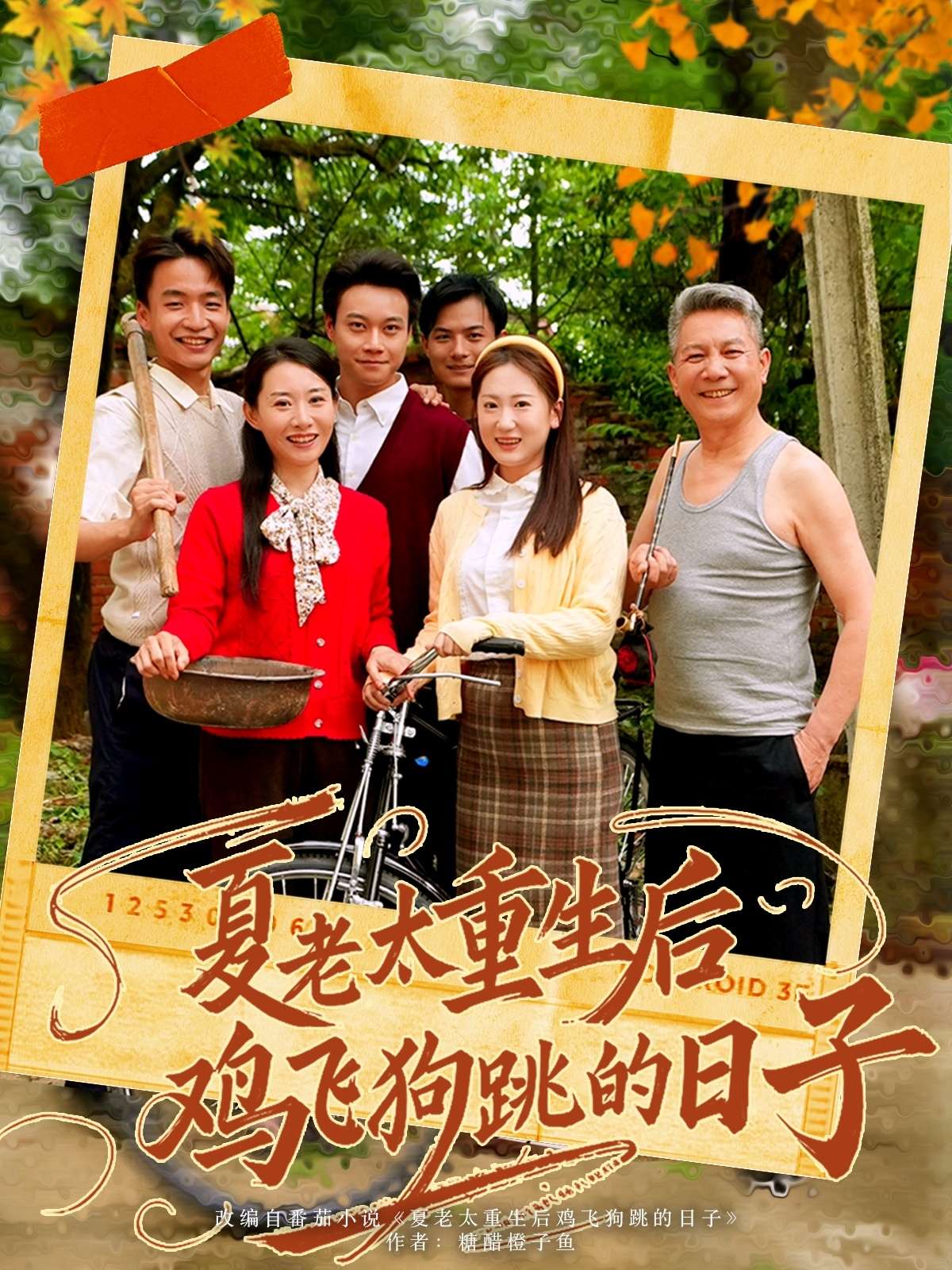 夏老太重生后鸡飞狗跳的日子(70集)