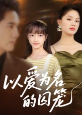 以爱为名的囚笼（70集）王永明