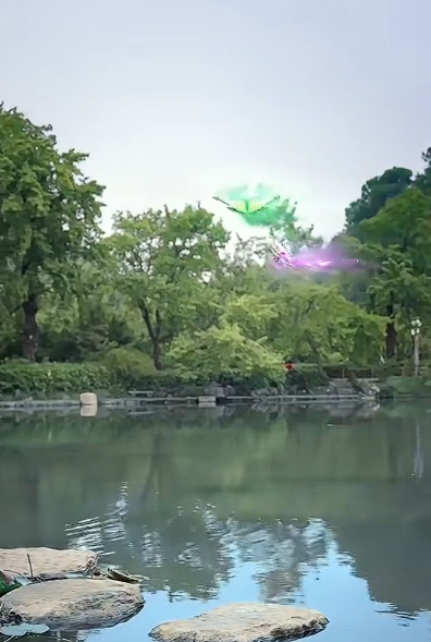 婴蝶传（14集）