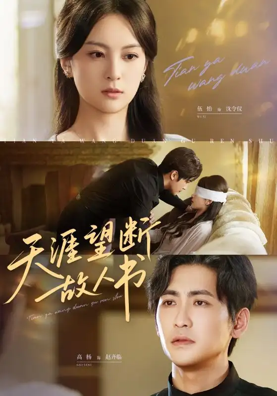 《天涯望断故人书(60集)》短剧全集免费在线看