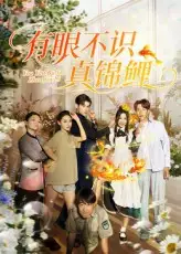 《有眼不识真锦鲤(35集)刘凯&尹玲》短剧全集免费在线看