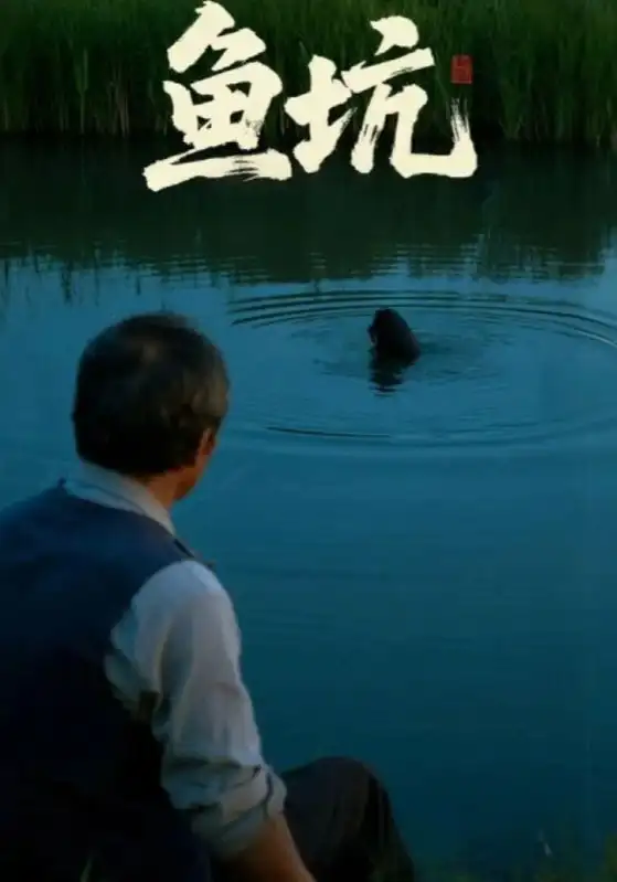 《鱼坑(30集)付晓月&韩世袆》短剧全集免费在线看