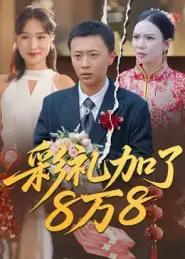 《彩礼加了8万8(54集)》短剧全集免费在线看