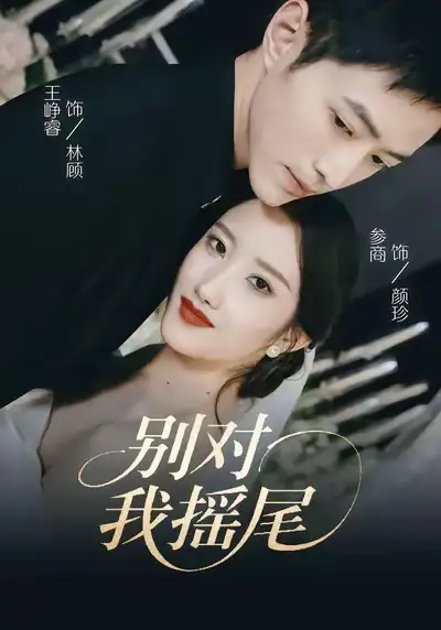 《别对我摇尾(59集)王峥睿&参商》短剧全集免费在线看