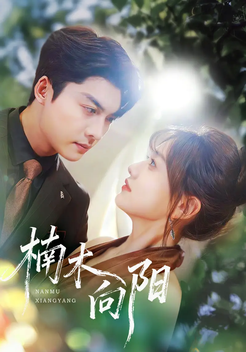 《楠木向阳(70集)》短剧全集免费在线看