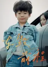 《车毁前程(30集)》短剧全集免费在线看