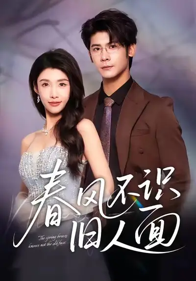 《春风不识旧人面(48集)》短剧全集免费在线看