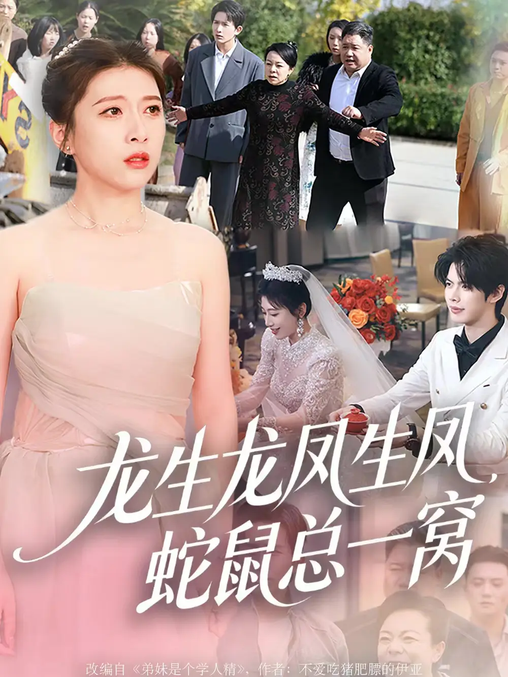 龙生龙凤生凤,蛇鼠总一窝(60集)曹淼&牛韵暄