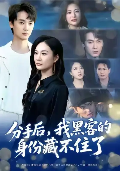 《分手后,我黑客的身份藏不住了(80集)宋雯娟&唐元盛》短剧全集免费在线看