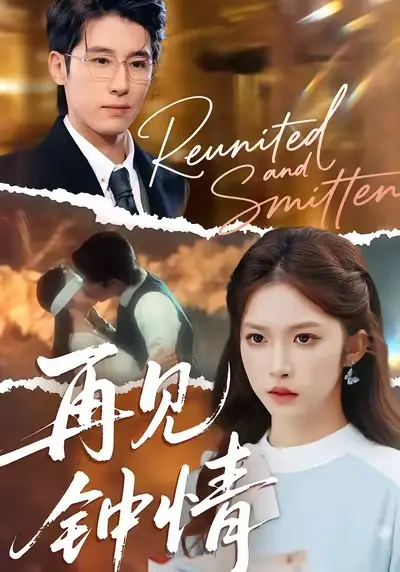 《再见钟情(100集)林枫松&吴毅非》短剧全集免费在线看