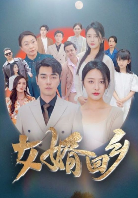 免费短剧资源:女婿回乡(120集)