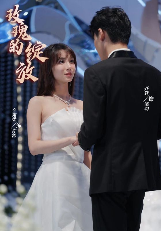 玫瑰的绽放(69集)辛宛柔