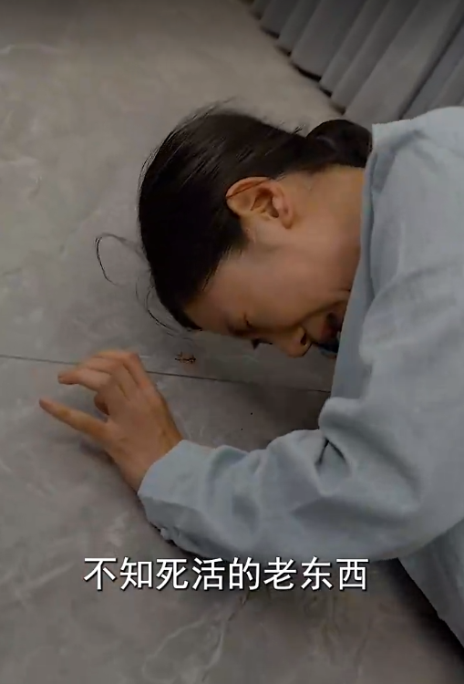 荆棘王冠之黑暗荣耀(70集)