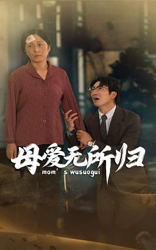 母爱无所归(33集)