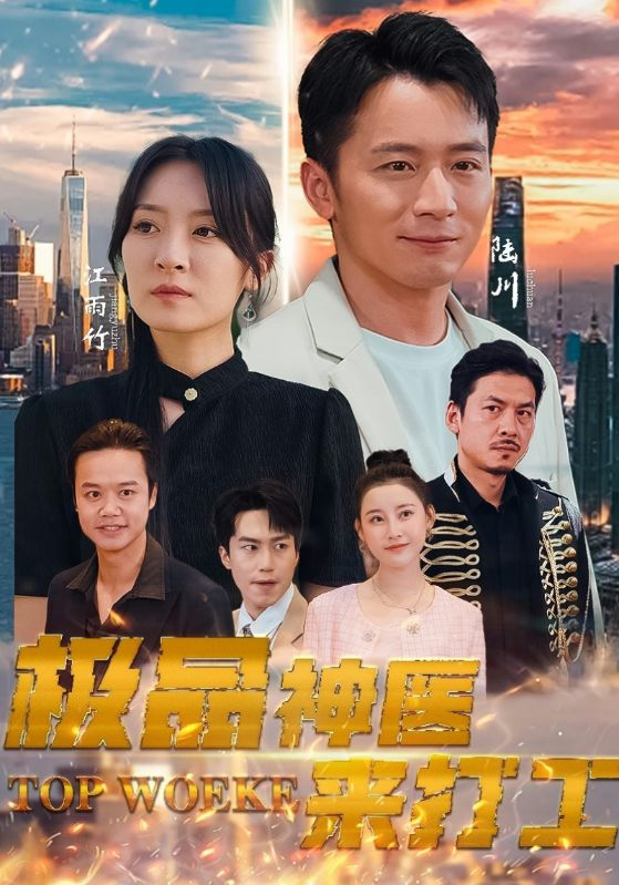 极品神医来打工(96集)