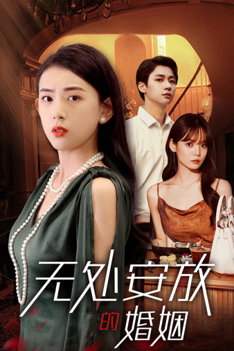 无处安放的婚姻(41集)王一晴