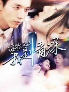 安能知我是情深(120集)