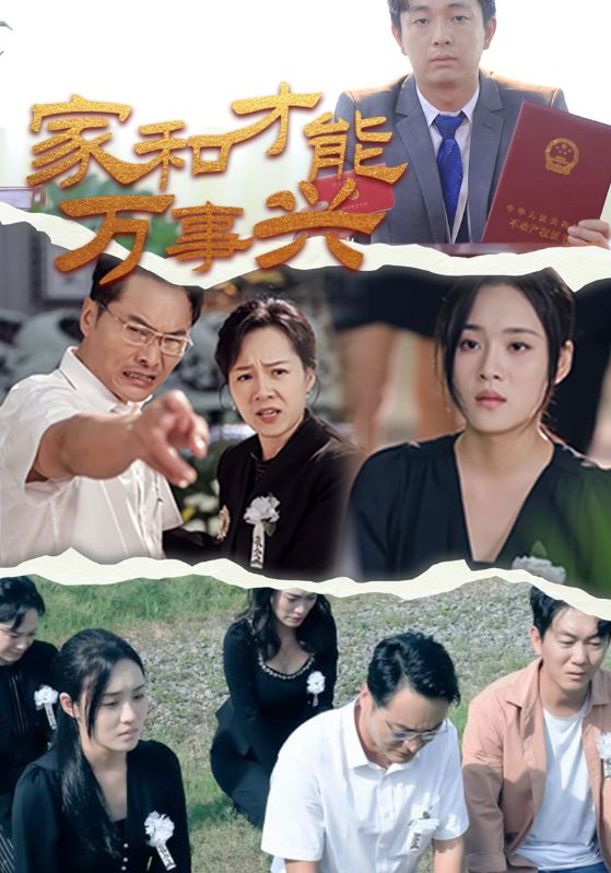 家和才能万事兴(30集)