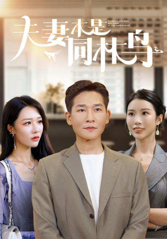 夫妻本是同林鸟(76集)李可馨 钟莹玲