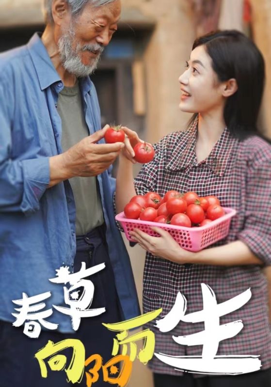 春草向阳而生(53集)