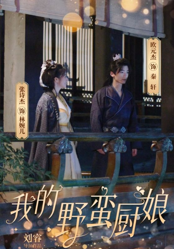 我的野蛮厨娘(64集)