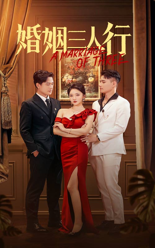婚姻三人行(31集)