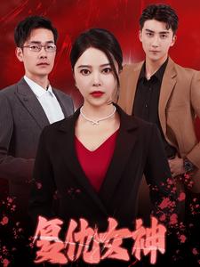 复仇女神(30集)