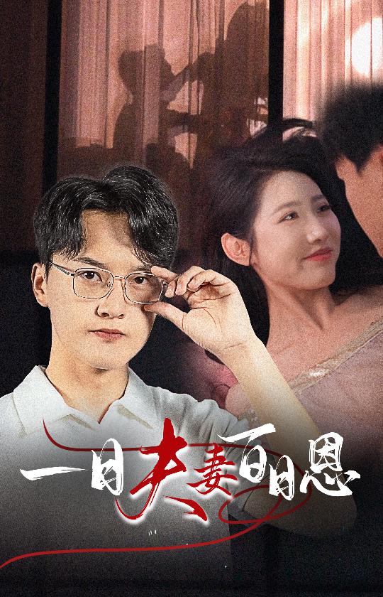 一日夫妻百日恩(30集)