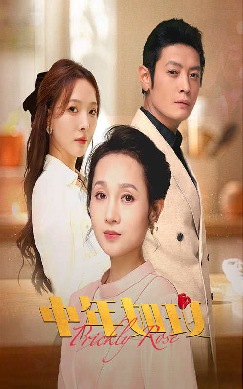 中年如玫(68集)