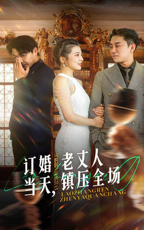 订婚当天,老丈人镇压全场(29集)