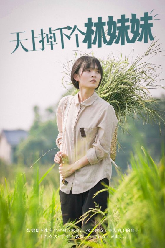 天上掉下个林妹妹(81集)