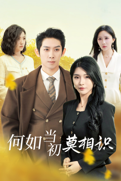何如当初莫相识(36集)彭羽