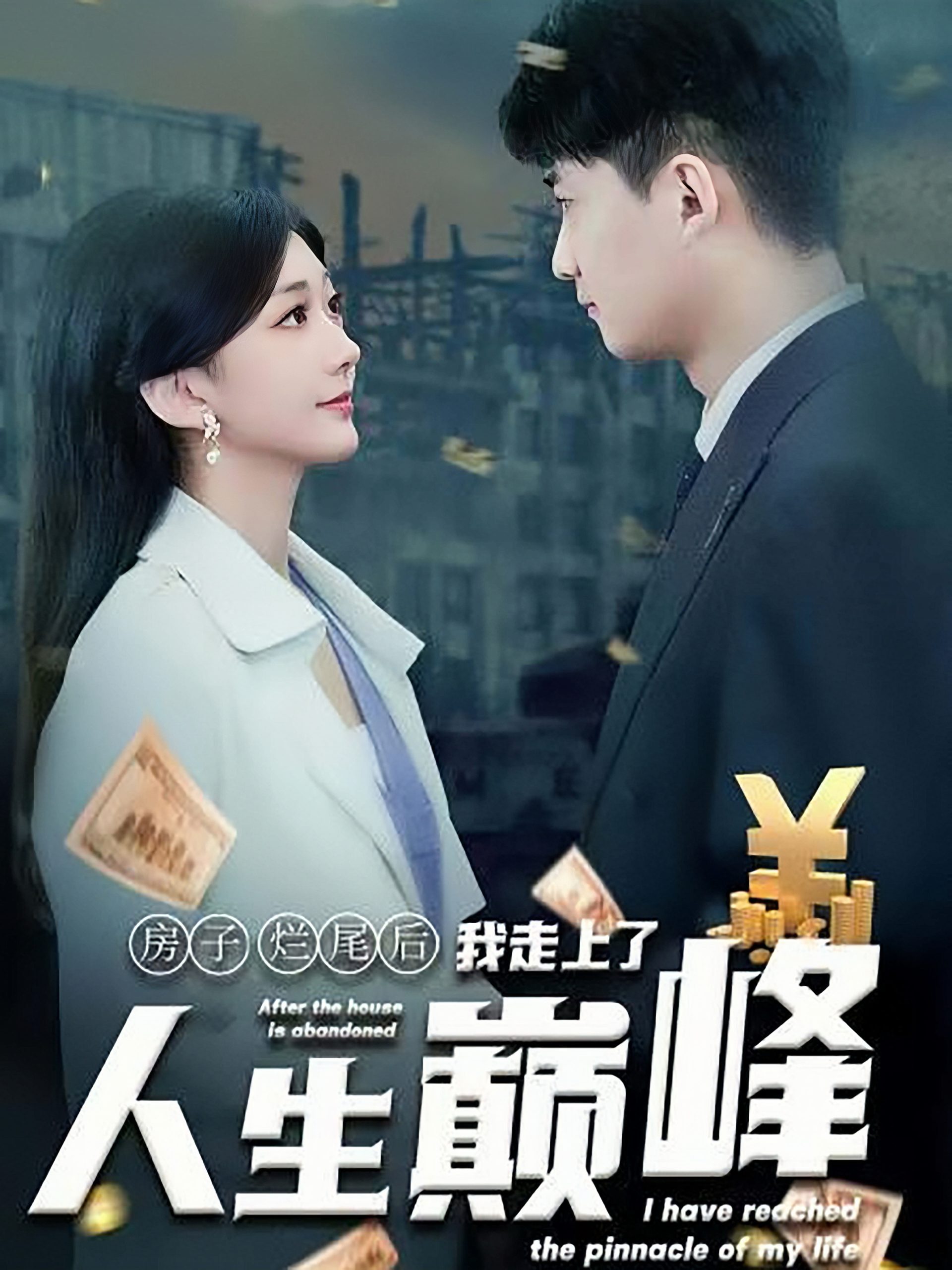 房子烂尾后我走上了人生巅峰(36集)