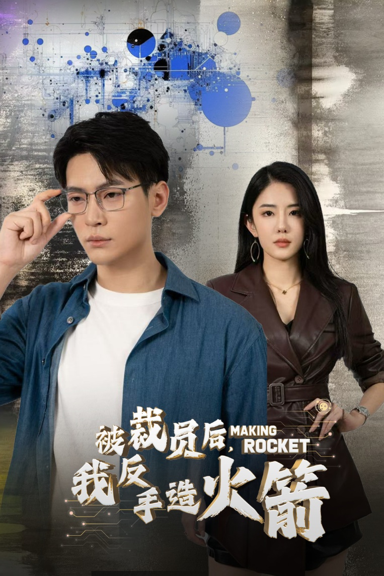 被裁员后,我反手造火箭(30集)
